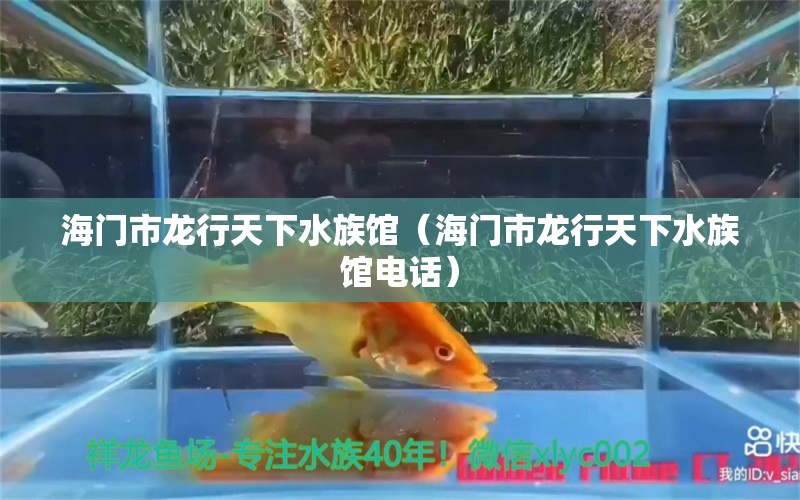 海門市龍行天下水族館（海門市龍行天下水族館電話） 全國水族館企業(yè)名錄