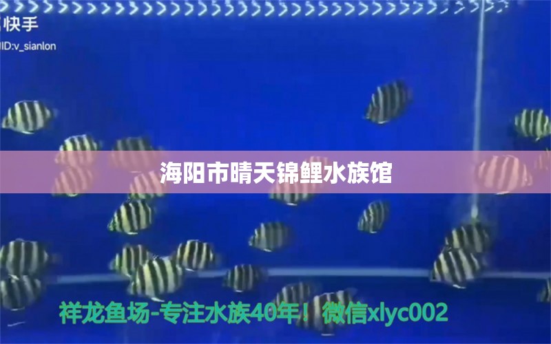 海陽市晴天錦鯉水族館 全國水族館企業(yè)名錄