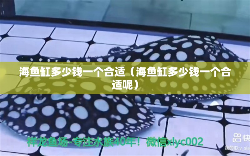 海魚缸多少錢一個合適（海魚缸多少錢一個合適呢） 龍魚專用燈