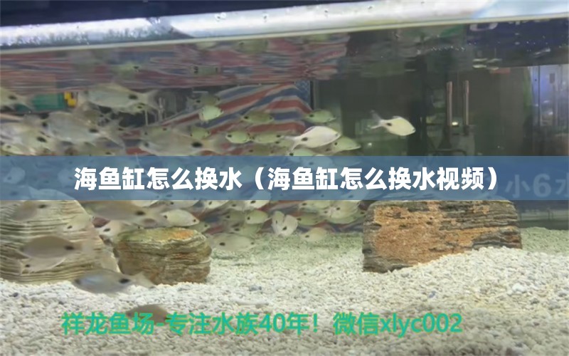 海魚缸怎么換水（海魚缸怎么換水視頻）