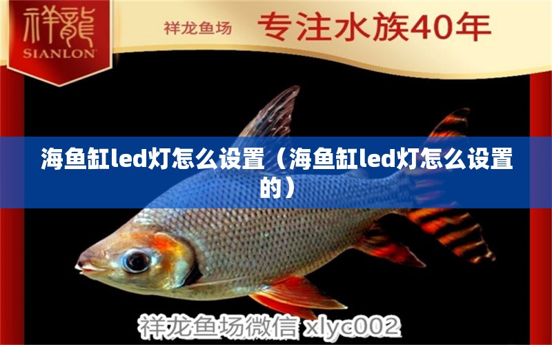 海魚缸led燈怎么設置（海魚缸led燈怎么設置的）