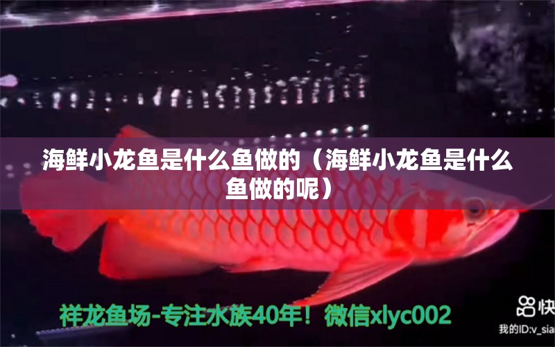 海鮮小龍魚是什么魚做的（海鮮小龍魚是什么魚做的呢） 祥龍進(jìn)口元寶鳳凰魚