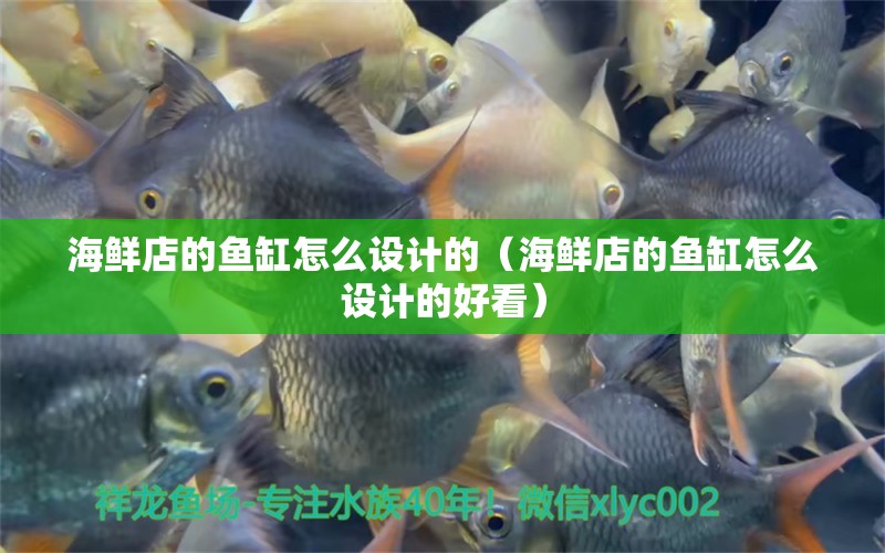 海鮮店的魚缸怎么設計的（海鮮店的魚缸怎么設計的好看）