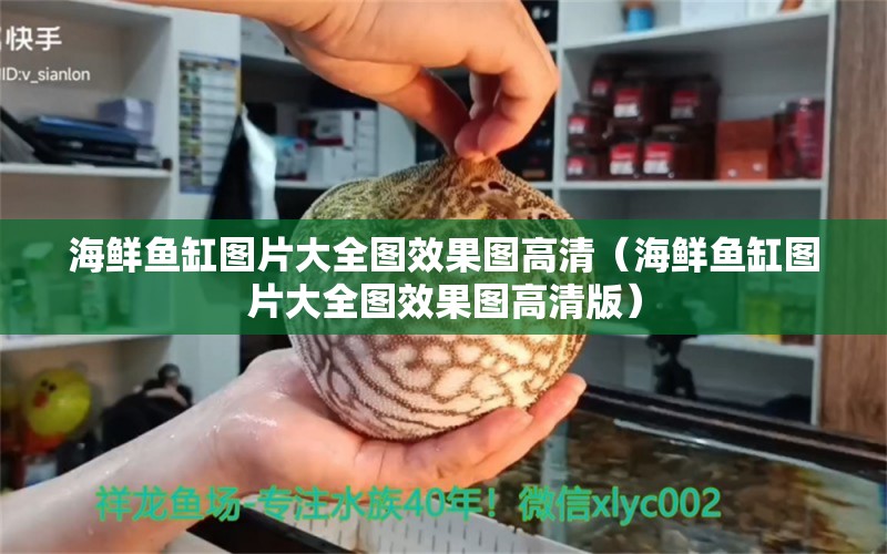 海鮮魚缸圖片大全圖效果圖高清（海鮮魚缸圖片大全圖效果圖高清版）