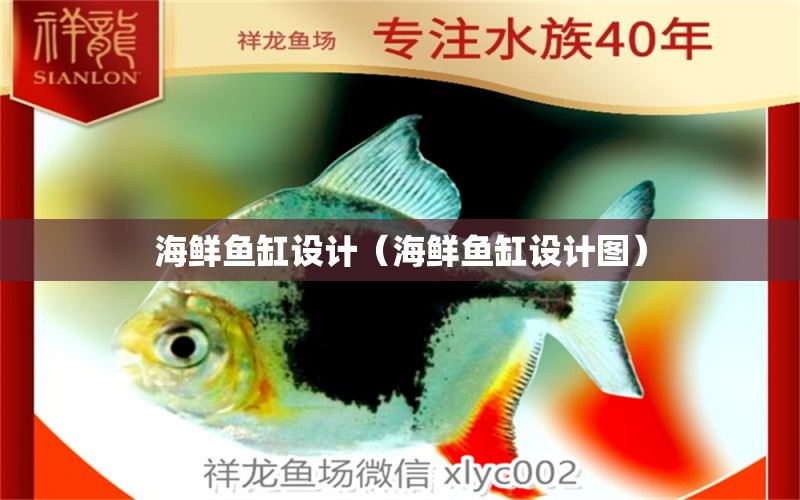 海鮮魚(yú)缸設(shè)計(jì)（海鮮魚(yú)缸設(shè)計(jì)圖）