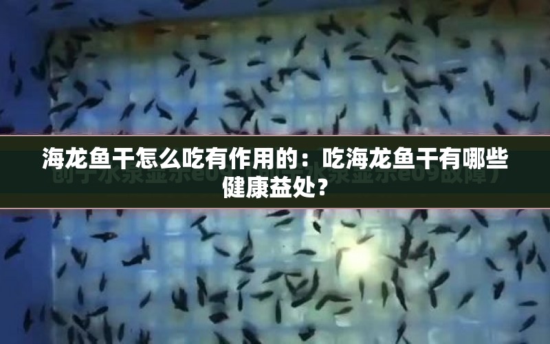 海龍魚(yú)干怎么吃有作用的：吃海龍魚(yú)干有哪些健康益處？ 水族問(wèn)答 第1張