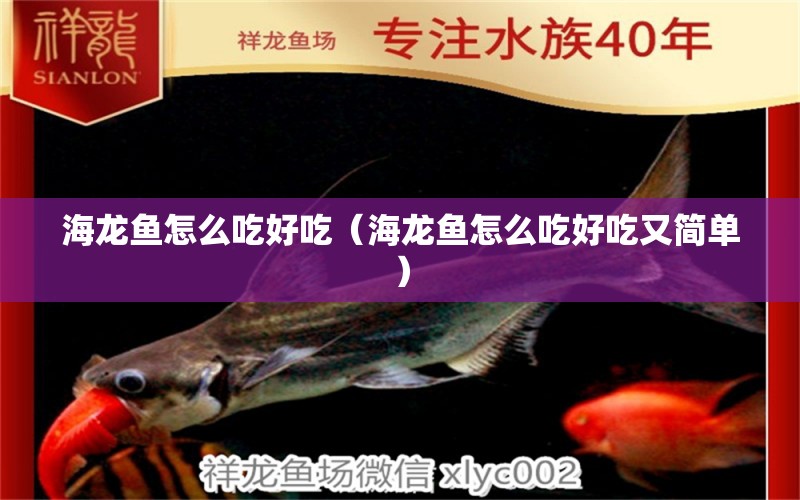 海龍魚怎么吃好吃（海龍魚怎么吃好吃又簡(jiǎn)單）