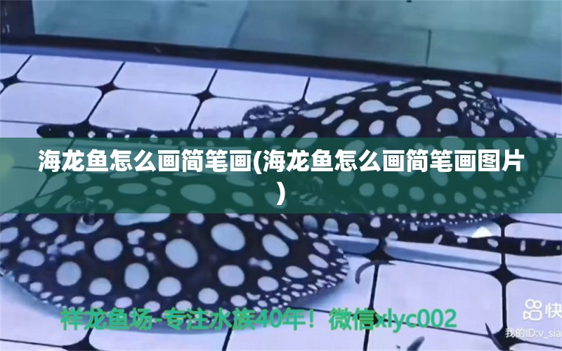 海龍魚怎么畫簡筆畫(海龍魚怎么畫簡筆畫圖片)