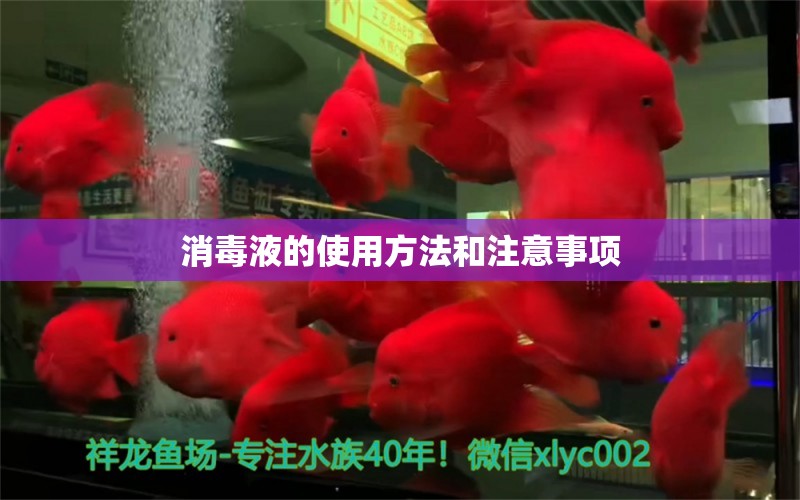 消毒液的使用方法和注意事項(xiàng) 泰龐海蓮魚