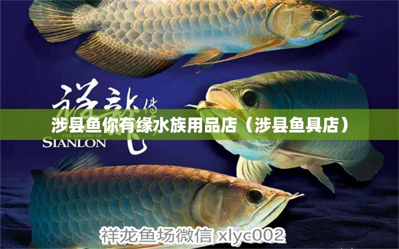 涉縣魚你有緣水族用品店（涉縣魚具店）