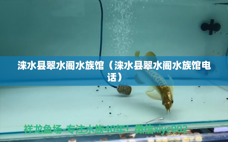 淶水縣翠水閣水族館（淶水縣翠水閣水族館電話） 全國(guó)水族館企業(yè)名錄