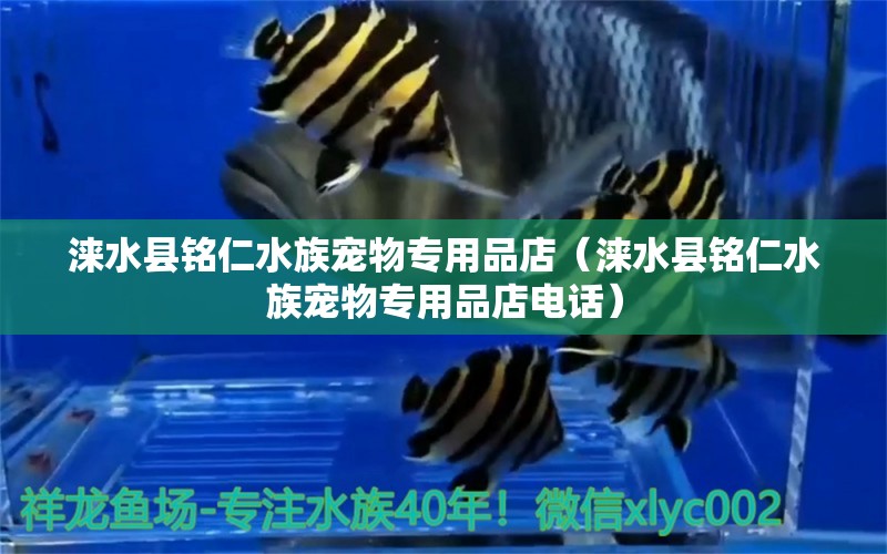 淶水縣銘仁水族寵物專用品店（淶水縣銘仁水族寵物專用品店電話）