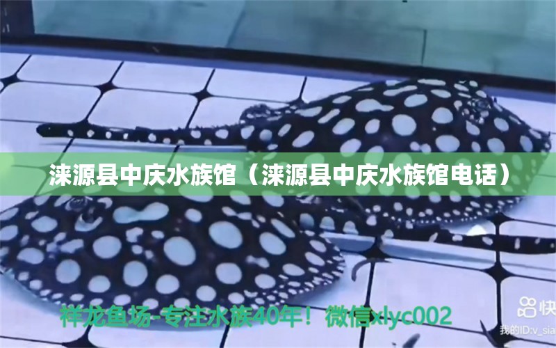 淶源縣中慶水族館（淶源縣中慶水族館電話） 全國水族館企業(yè)名錄