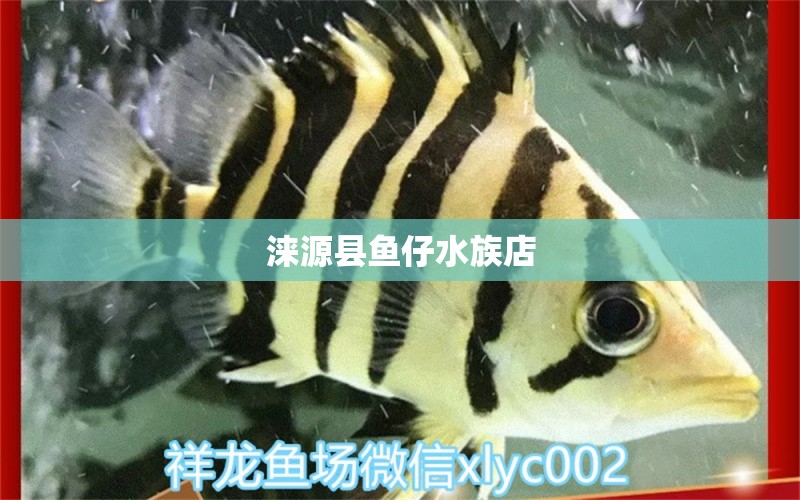 淶源縣魚仔水族店