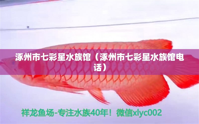 涿州市七彩星水族館（涿州市七彩星水族館電話） 全國水族館企業(yè)名錄