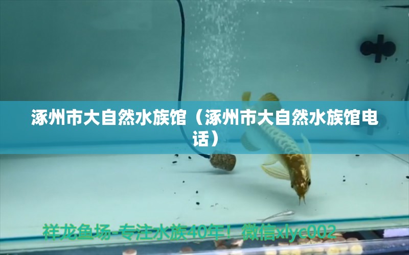 涿州市大自然水族館（涿州市大自然水族館電話） 全國水族館企業(yè)名錄