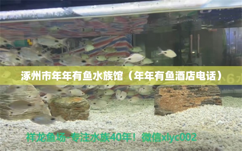 涿州市年年有魚水族館（年年有魚酒店電話）