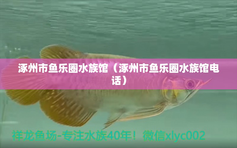 涿州市魚樂圈水族館（涿州市魚樂圈水族館電話）