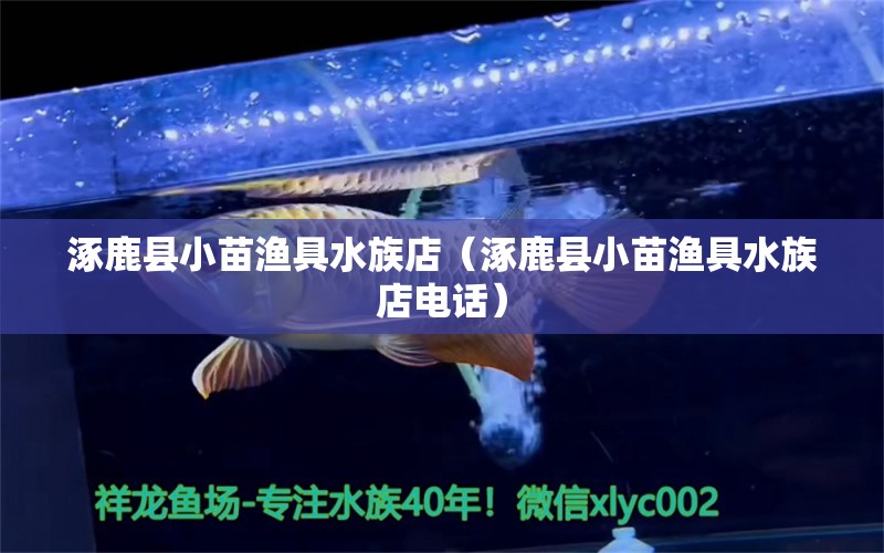 涿鹿縣小苗漁具水族店（涿鹿縣小苗漁具水族店電話） 全國(guó)水族館企業(yè)名錄