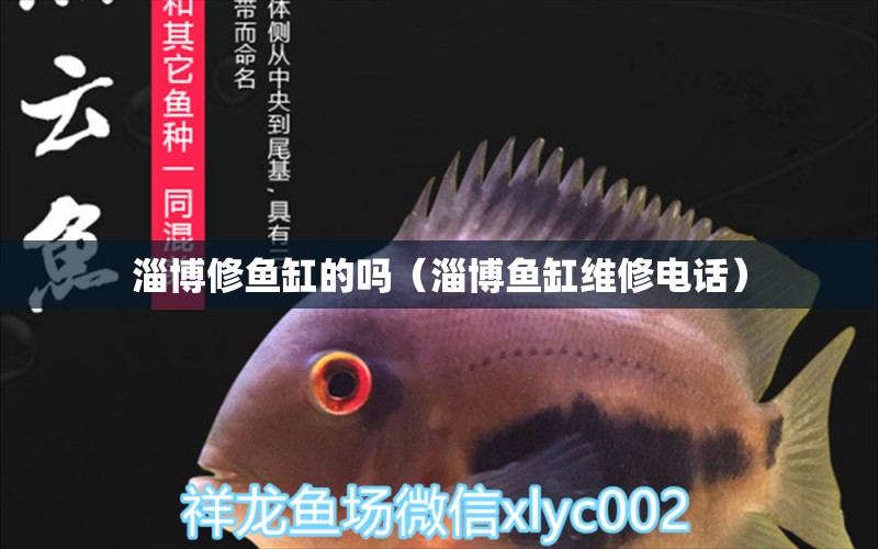 淄博修魚(yú)缸的嗎（淄博魚(yú)缸維修電話）