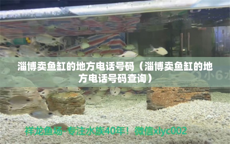 淄博賣魚缸的地方電話號(hào)碼（淄博賣魚缸的地方電話號(hào)碼查詢） 黃金貓魚