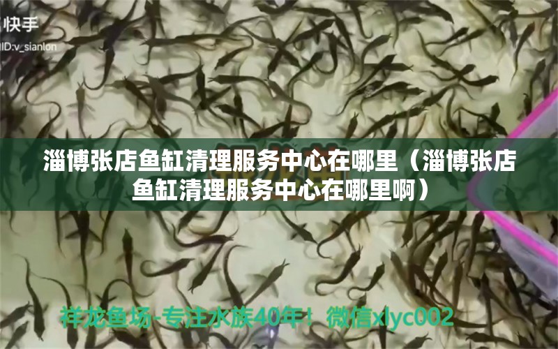 淄博張店魚缸清理服務(wù)中心在哪里（淄博張店魚缸清理服務(wù)中心在哪里?。? title=