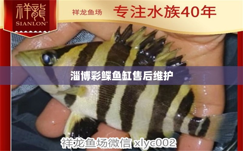 淄博彩鰈魚缸售后維護(hù) 彩鰈魚缸（彩蝶魚缸）