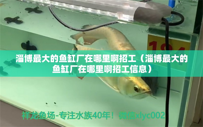 淄博最大的魚缸廠在哪里啊招工（淄博最大的魚缸廠在哪里啊招工信息）