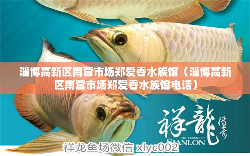 淄博高新區(qū)南營市場鄭愛香水族館（淄博高新區(qū)南營市場鄭愛香水族館電話）