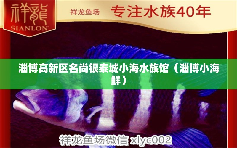 淄博高新區(qū)名尚銀泰城小海水族館（淄博小海鮮） 全國水族館企業(yè)名錄