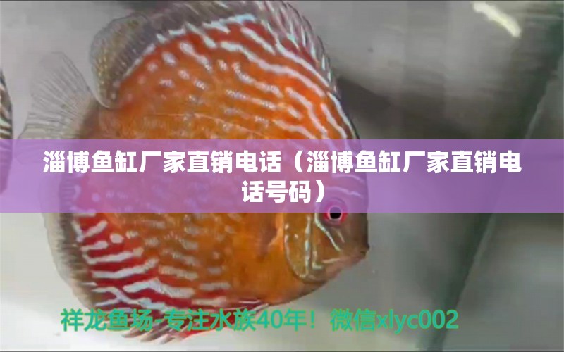 淄博魚(yú)缸廠家直銷電話（淄博魚(yú)缸廠家直銷電話號(hào)碼）