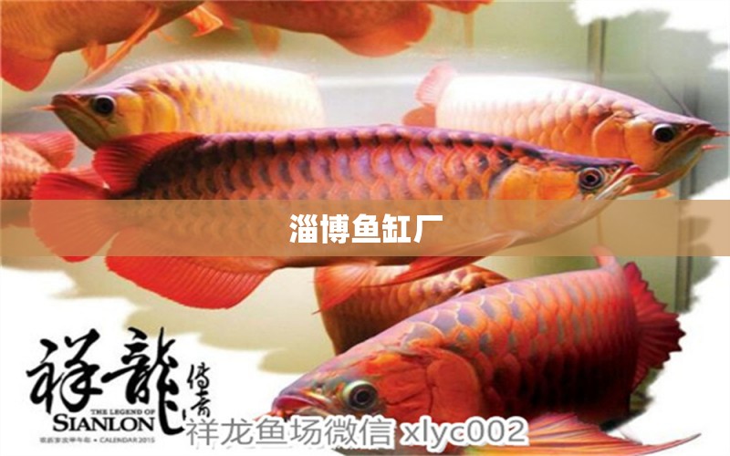 淄博魚缸廠