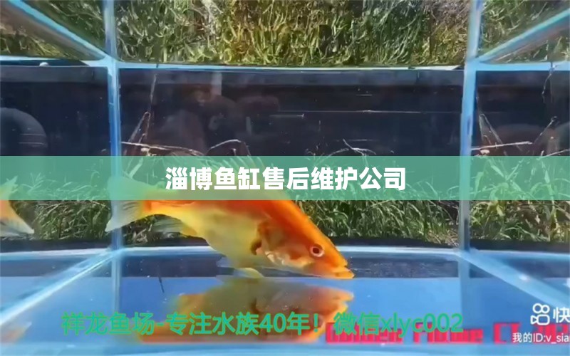 淄博魚缸售后維護公司 其他品牌魚缸