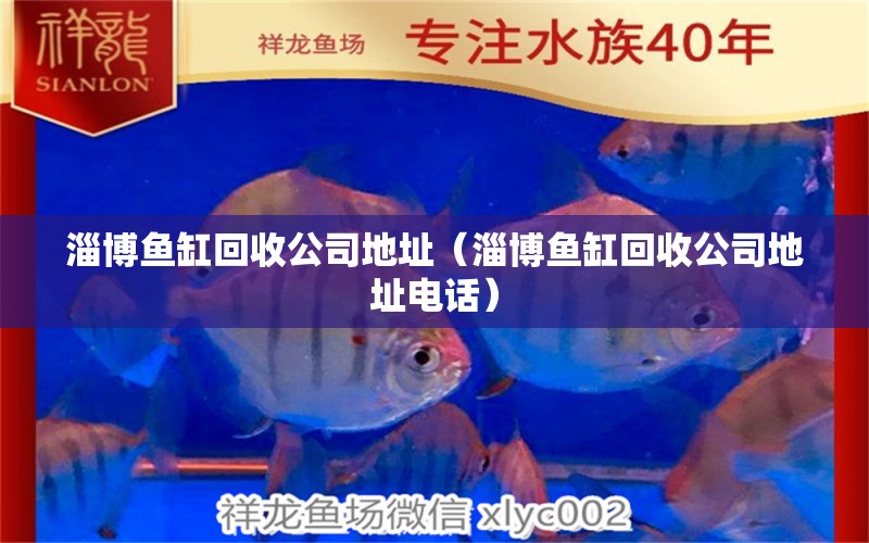 淄博魚缸回收公司地址（淄博魚缸回收公司地址電話） 祥龍水族醫(yī)院