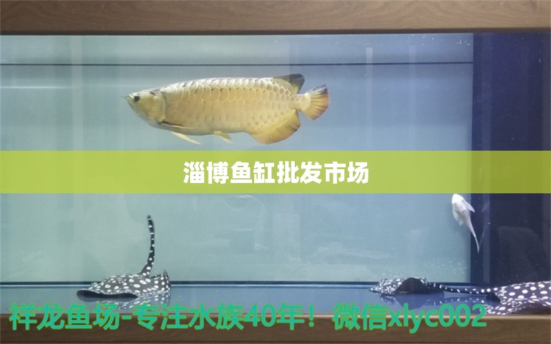 淄博魚缸批發(fā)市場(chǎng) 其他品牌魚缸