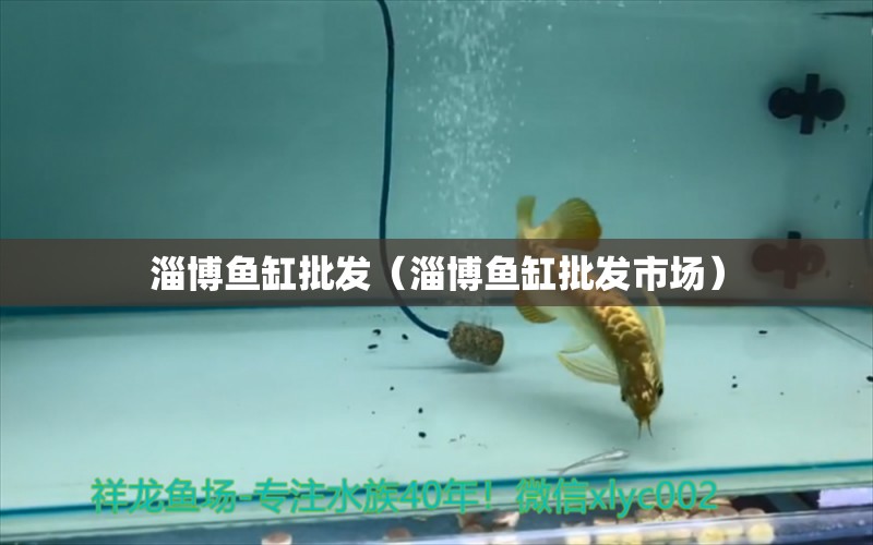 淄博魚缸批發(fā)（淄博魚缸批發(fā)市場(chǎng)） 其他品牌魚缸