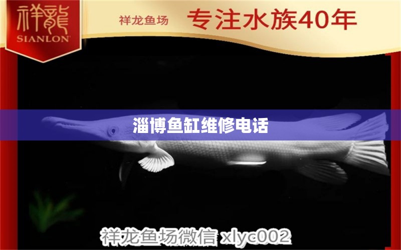 淄博魚缸維修電話 其他品牌魚缸