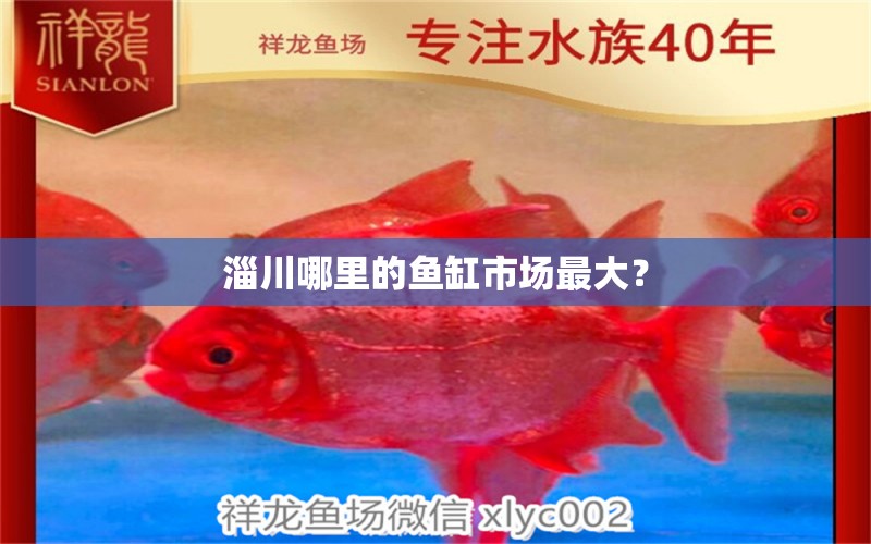 淄川哪里的魚缸市場最大？ 殺菌消毒設(shè)備