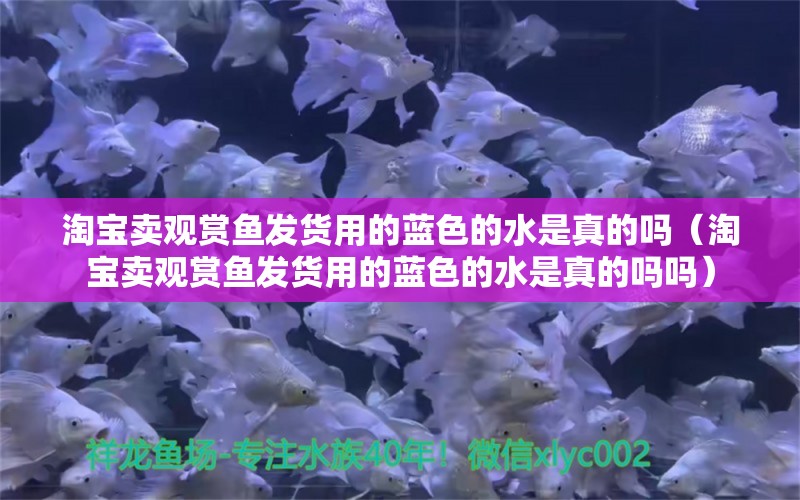 淘寶賣觀賞魚(yú)發(fā)貨用的藍(lán)色的水是真的嗎（淘寶賣觀賞魚(yú)發(fā)貨用的藍(lán)色的水是真的嗎嗎）