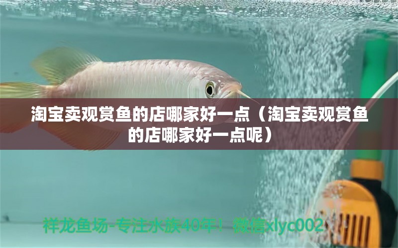 淘寶賣觀賞魚的店哪家好一點（淘寶賣觀賞魚的店哪家好一點呢） 網(wǎng)上購買觀賞魚