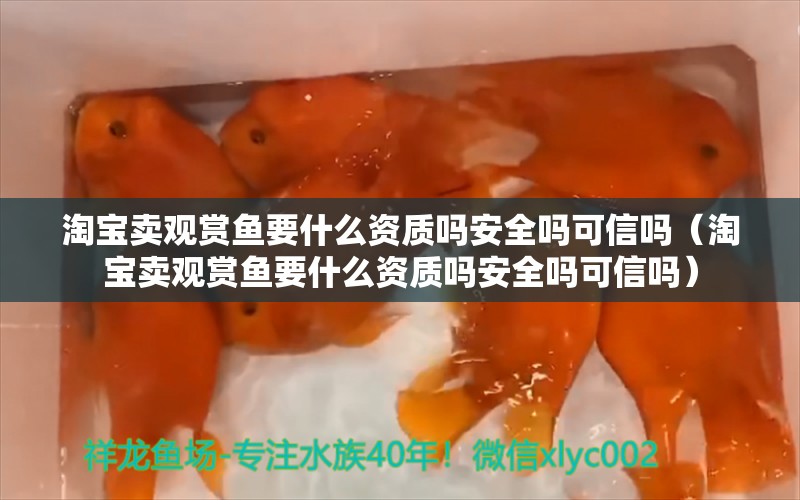 淘寶賣觀賞魚要什么資質(zhì)嗎安全嗎可信嗎（淘寶賣觀賞魚要什么資質(zhì)嗎安全嗎可信嗎）