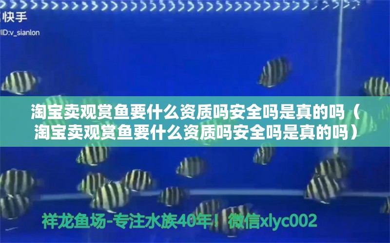 淘寶賣觀賞魚要什么資質嗎安全嗎是真的嗎（淘寶賣觀賞魚要什么資質嗎安全嗎是真的嗎）