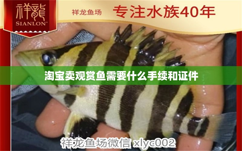 淘寶賣觀賞魚需要什么手續(xù)和證件 網(wǎng)上購買觀賞魚