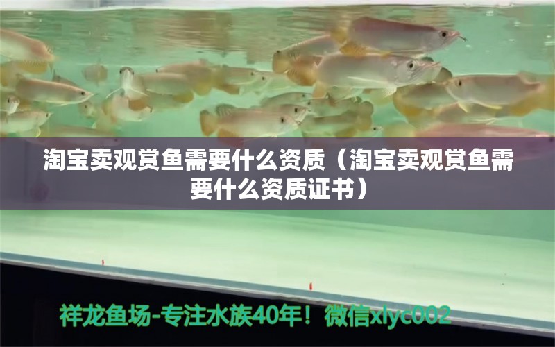 淘寶賣觀賞魚需要什么資質(zhì)（淘寶賣觀賞魚需要什么資質(zhì)證書）