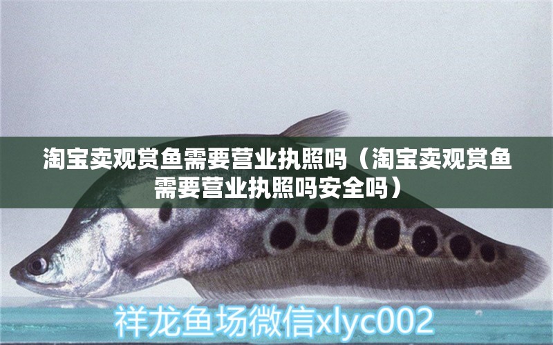 淘寶賣觀賞魚需要營業(yè)執(zhí)照嗎（淘寶賣觀賞魚需要營業(yè)執(zhí)照嗎安全嗎）