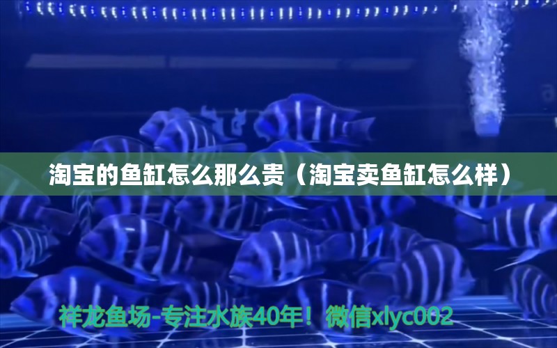 淘寶的魚缸怎么那么貴（淘寶賣魚缸怎么樣）