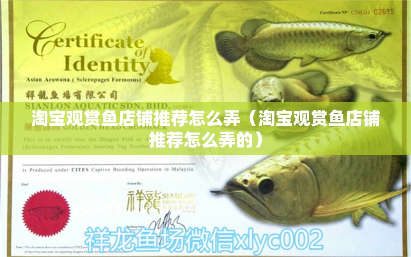 淘寶觀賞魚店鋪推薦怎么弄（淘寶觀賞魚店鋪推薦怎么弄的）