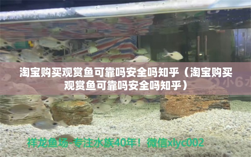 淘寶購(gòu)買觀賞魚可靠嗎安全嗎知乎（淘寶購(gòu)買觀賞魚可靠嗎安全嗎知乎）