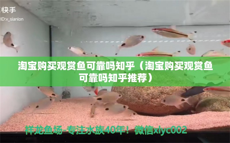 淘寶購買觀賞魚可靠嗎知乎（淘寶購買觀賞魚可靠嗎知乎推薦） 網(wǎng)上購買觀賞魚