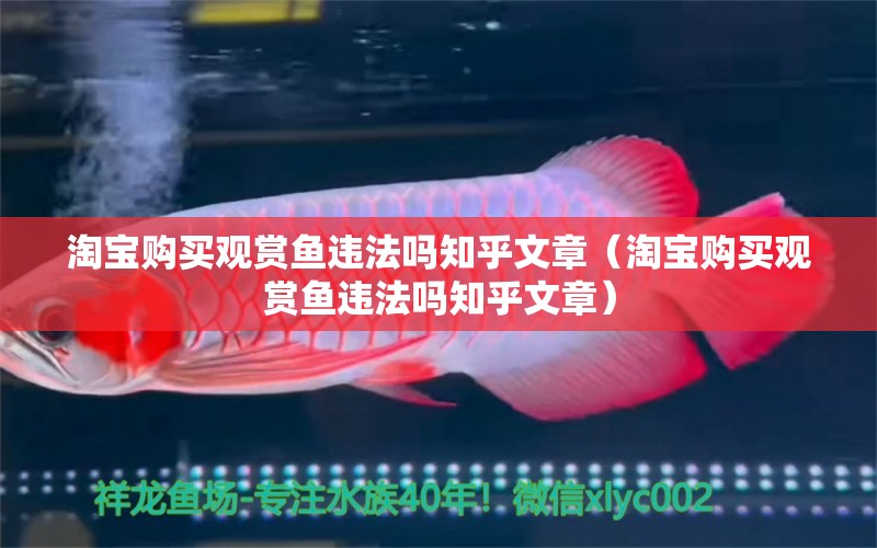 淘寶購買觀賞魚違法嗎知乎文章（淘寶購買觀賞魚違法嗎知乎文章） 網(wǎng)上購買觀賞魚